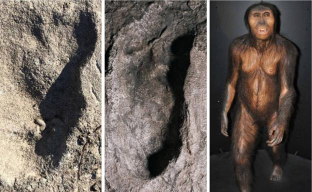 Un homínido desconocido dejó un rastro de huellas en Tanzania hace 3,7 millones de años