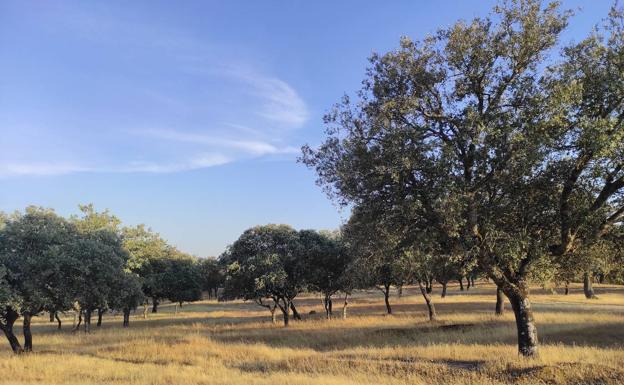 La PAC, cada vez más verde y territorializada