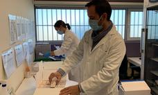 Ya están en Extremadura las primeras 30.000 dosis para vacunar a los niños