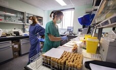 Cerca de la mitad de los casos de ómicron en España se detectan en Extremadura
