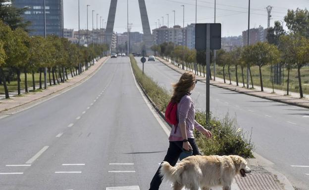 Pacma organiza este sábado un paseo con perros en Badajoz