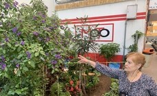Un 'jardincino' privado a la puerta de casa en Cáceres