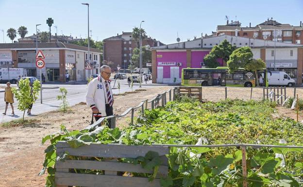 Agricultura de hormigón