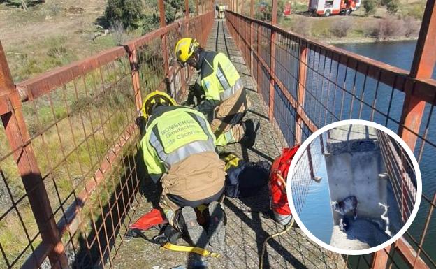 Los bomberos del SEPEI rescatan a dos cabras atrapadas en el muro de una presa en Valdelacasa de Tajo