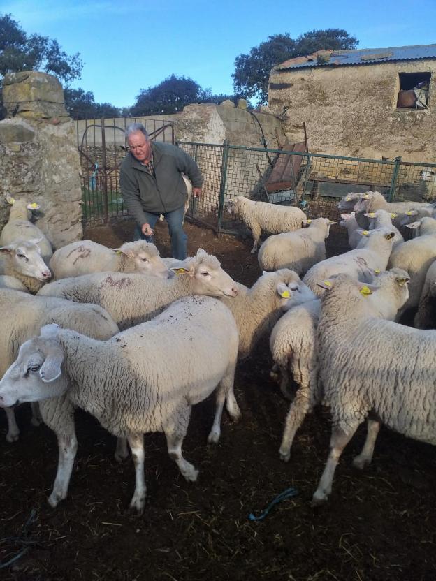 «El relevo generacional del campo es un gran problema»