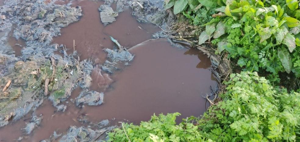 Denuncian ante el Seprona un vertido de aguas residuales en el camino del Escambrón de Almendralejo