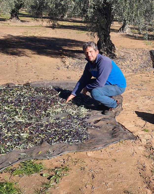 «El futuro del olivar pasa por el manejo ecológico y sostenible»