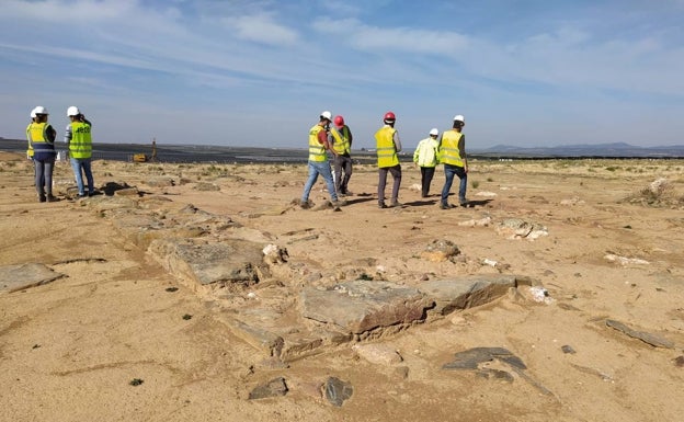 El sisón obliga a cambiar la fotovoltaica más grande de Europa