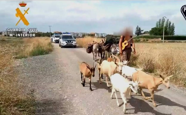 Aparece en Cáceres el pastor peregrino que se fugó en el Camino Francés