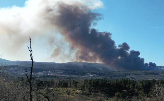 El incendio en Valverde del Fresno evoluciona favorablemente a pesar del viento
