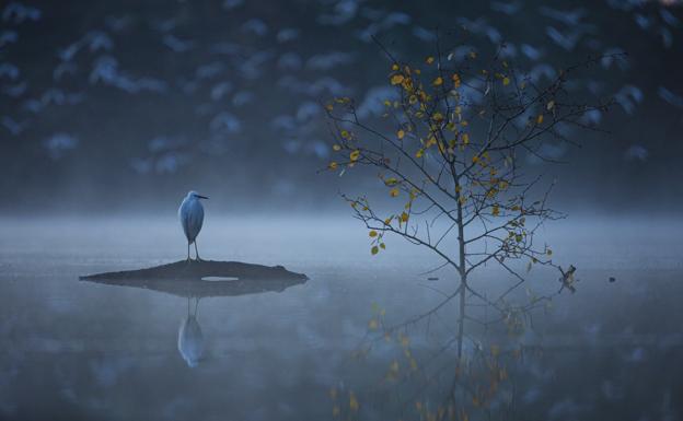 La Feria de Turismo Ornitológico se celebra la próxima semana con presencia de público