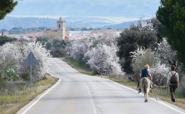 Garrovillas de Alconétar, tierra de almendros