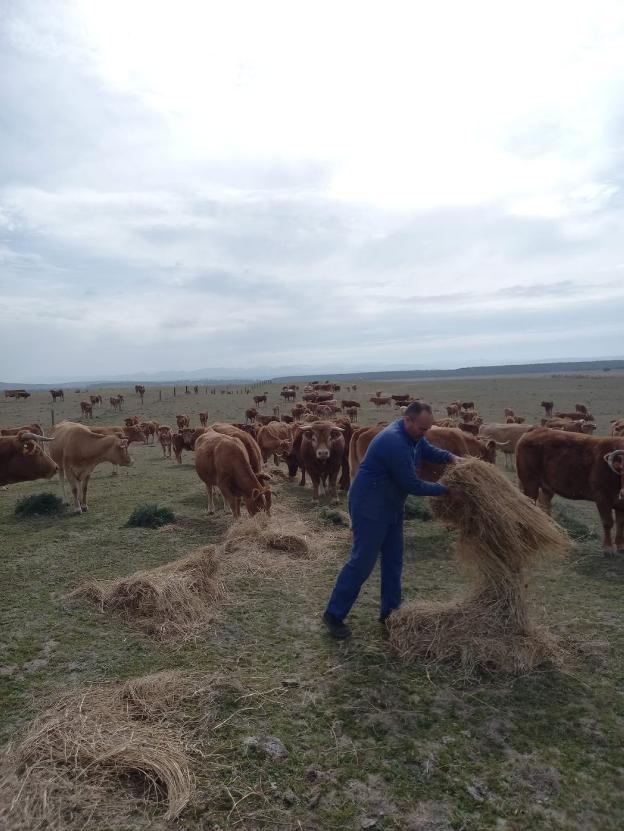 «Los gobiernos deberían controlar la especulación»