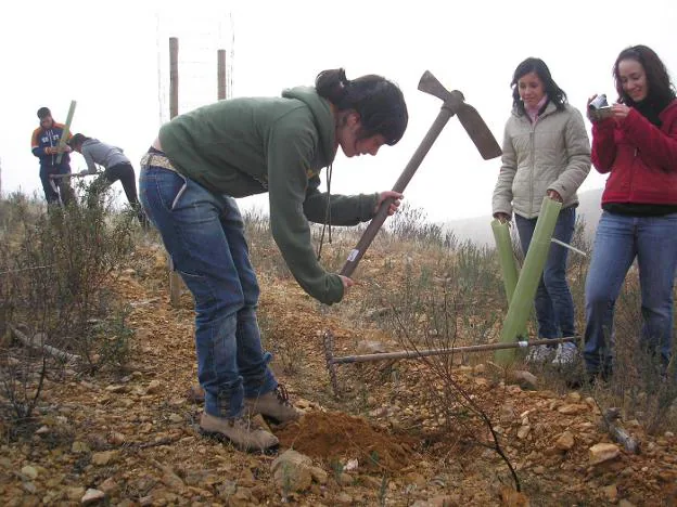 Voluntarias en plena repoblación de especies autóctonas. / E.G.R.