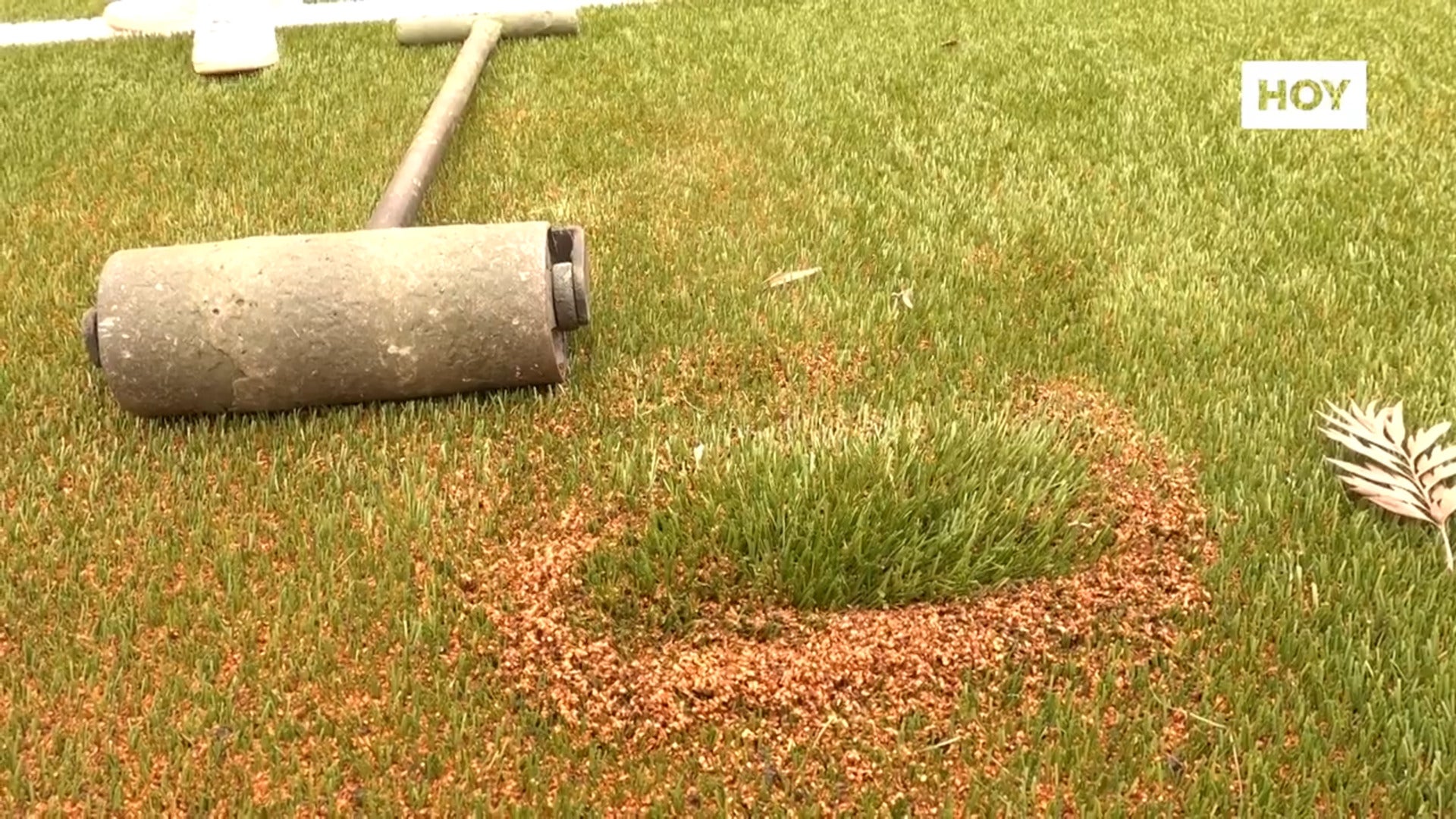 ​El Vivero no reabrirá porque el césped ​que han colocado es defectuoso