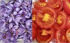 Crean tomates con genes de azafrán