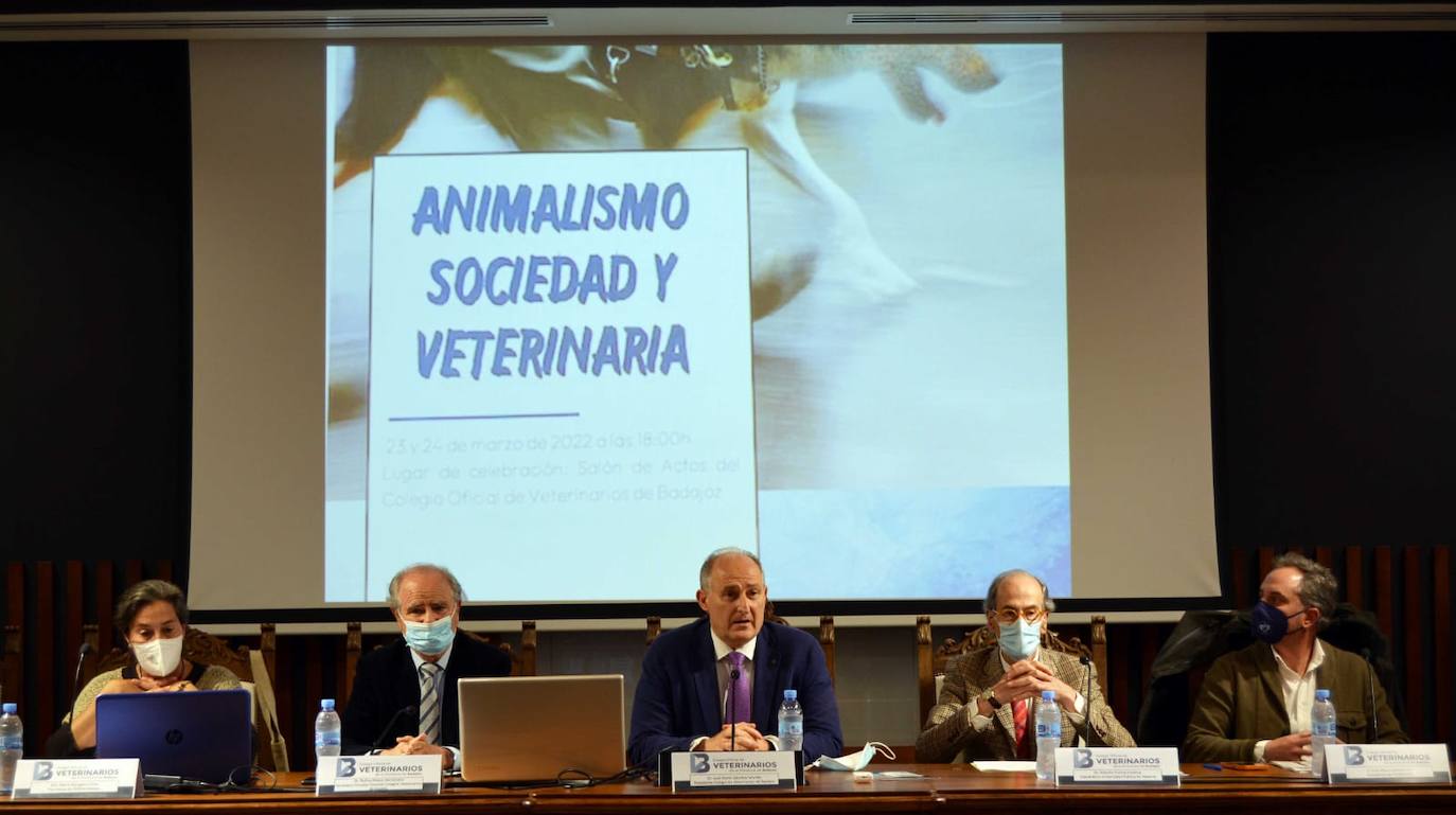 La semana del león y la columna