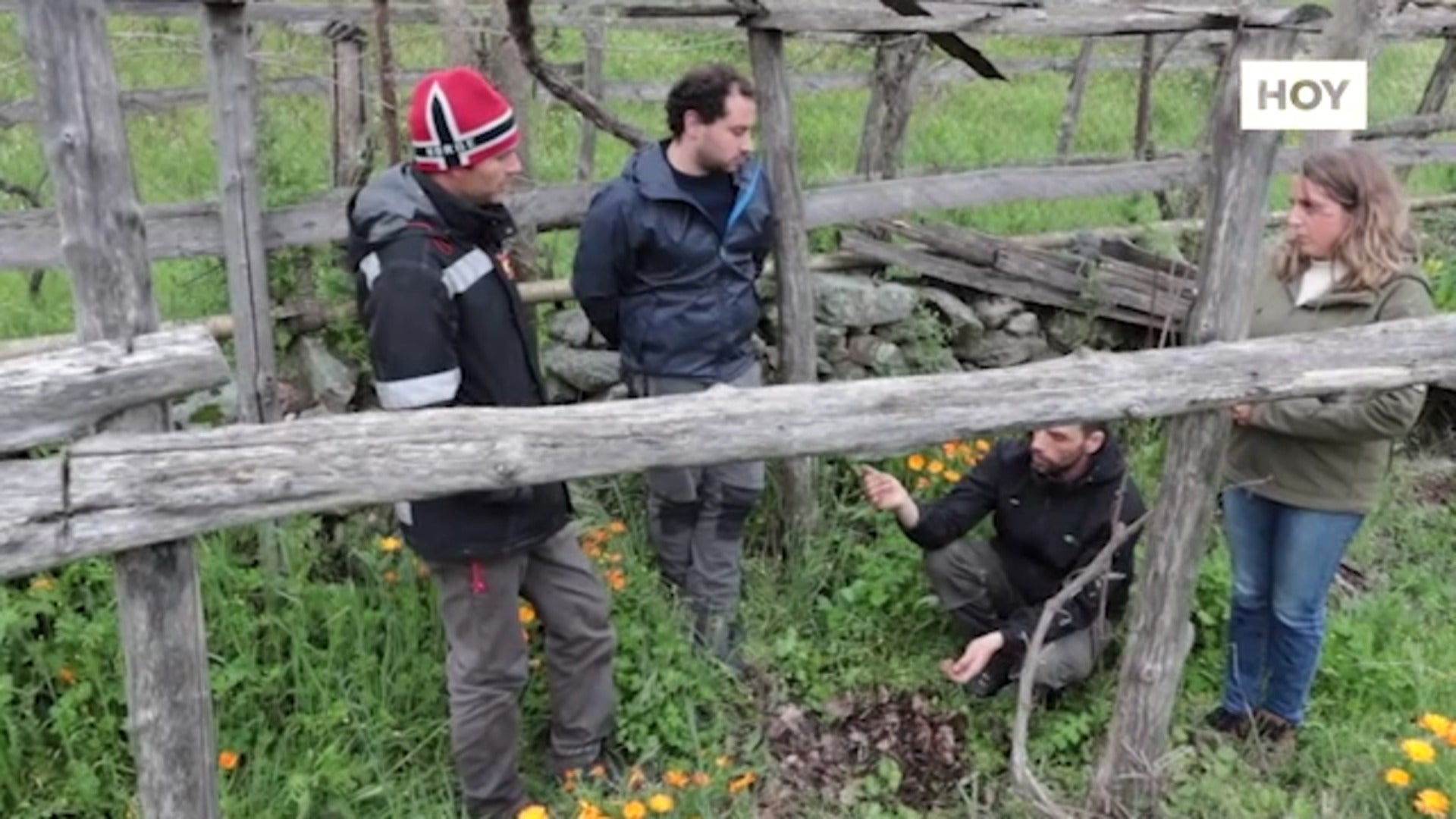 Extremadura enseña a trabajar el campo con el ‘Erasmus agrario’