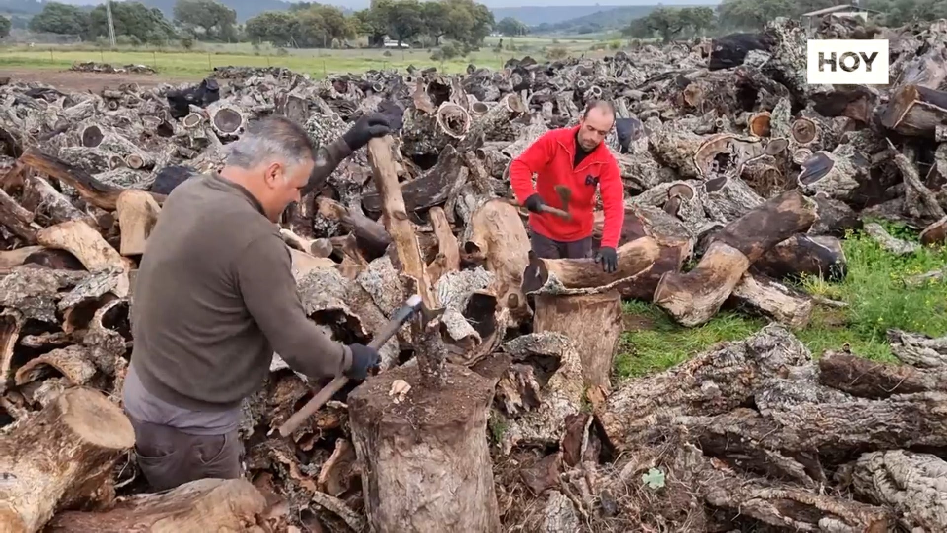 Ganas de carbón para las barbacoas que se avecinan​ Ganas de carbón para las barbacoas que se avecinan​