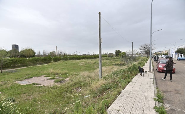 El Ayuntamiento de Badajoz extenderá los huertos urbanos a Las Moreras