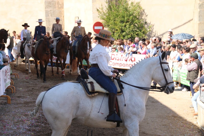 La pasión por los caballos sumó belleza a la Romería de Piedraescrita
