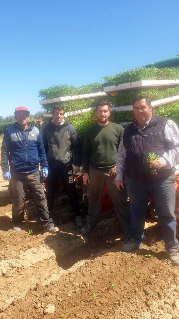 «Hasta hace unas semanas no sabía si podría plantar tomate»