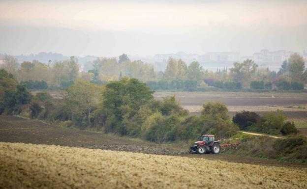 Vivacidad de la España medio llena