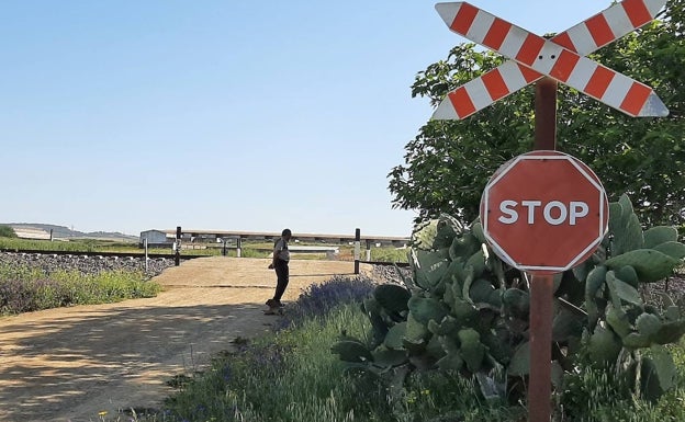 «El que va a cruzar no ve el tren hasta que está casi sobre la vía»