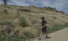 Riesgo de incendio en Badajoz: calor y solares sin desbrozar