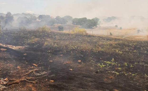 Estabilizado el incendio forestal entre Mérida y Don Álvaro
