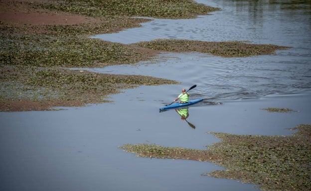 «El Guadiana es una sopa: está lleno de nutrientes»