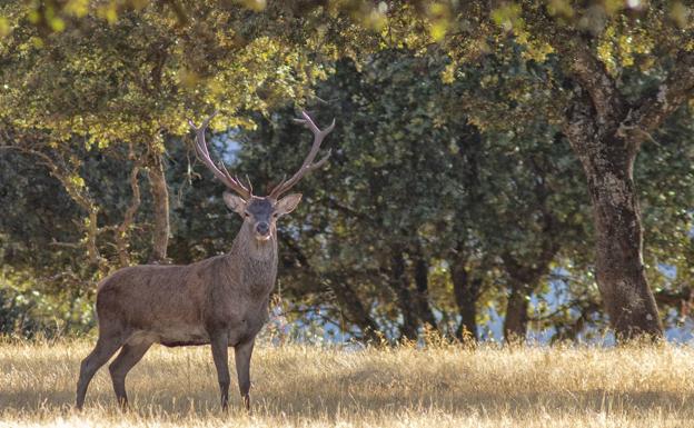 900 hectáreas del Parque Nacional de Monfragüe pasarán a ser de titularidad pública