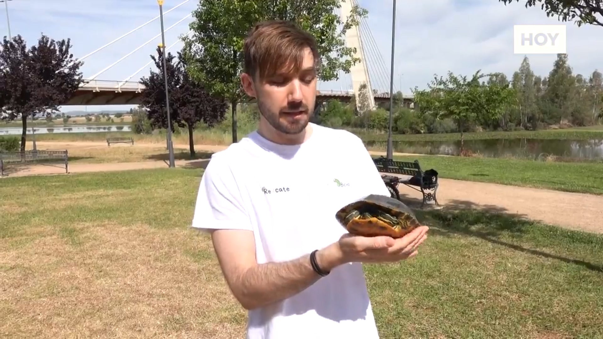 No toquen las tortugas del río Guadiana