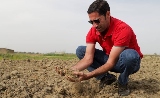 La sequía ahoga al campo extremeño
