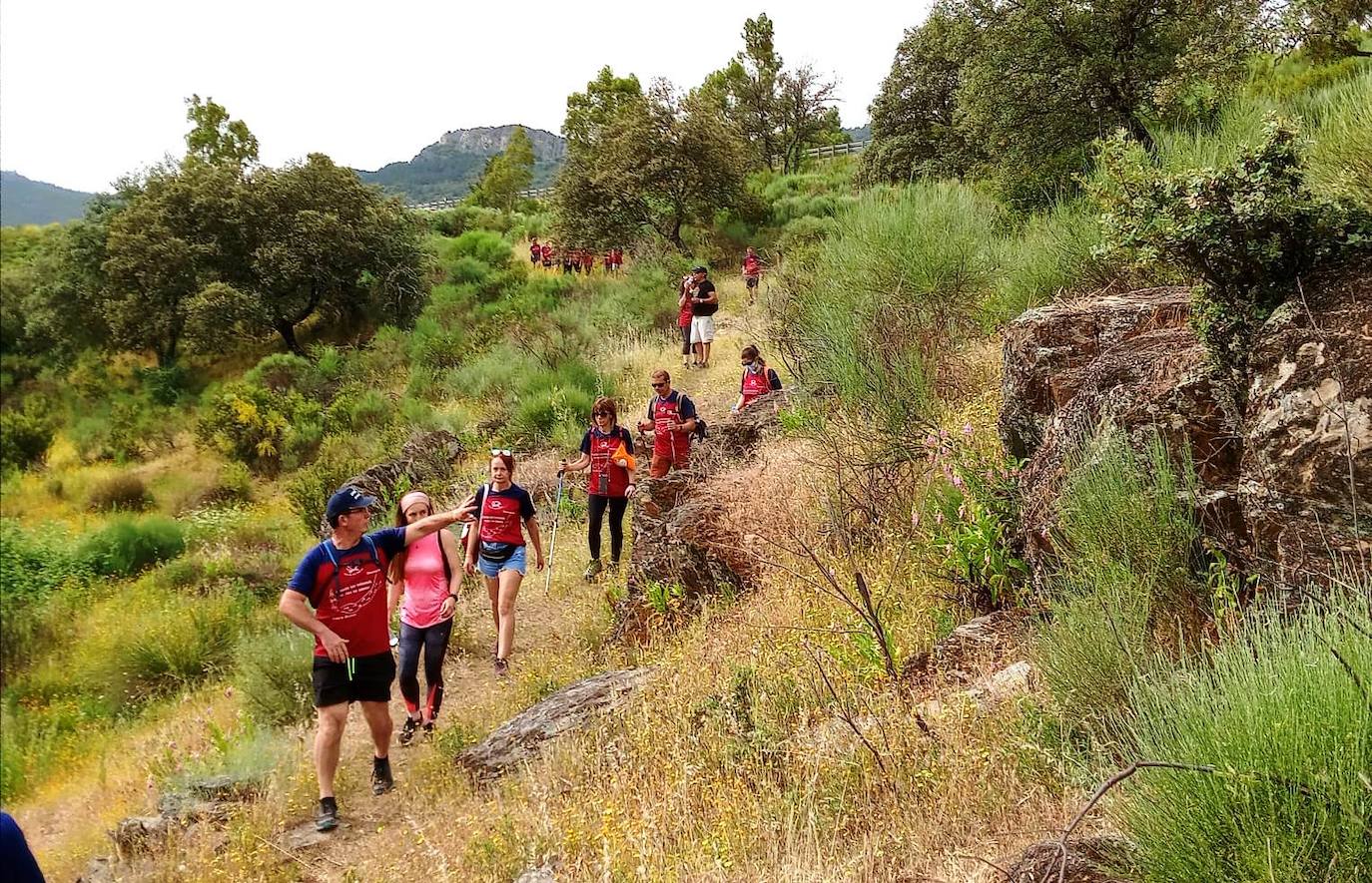 XVI Ruta de los Ingleses