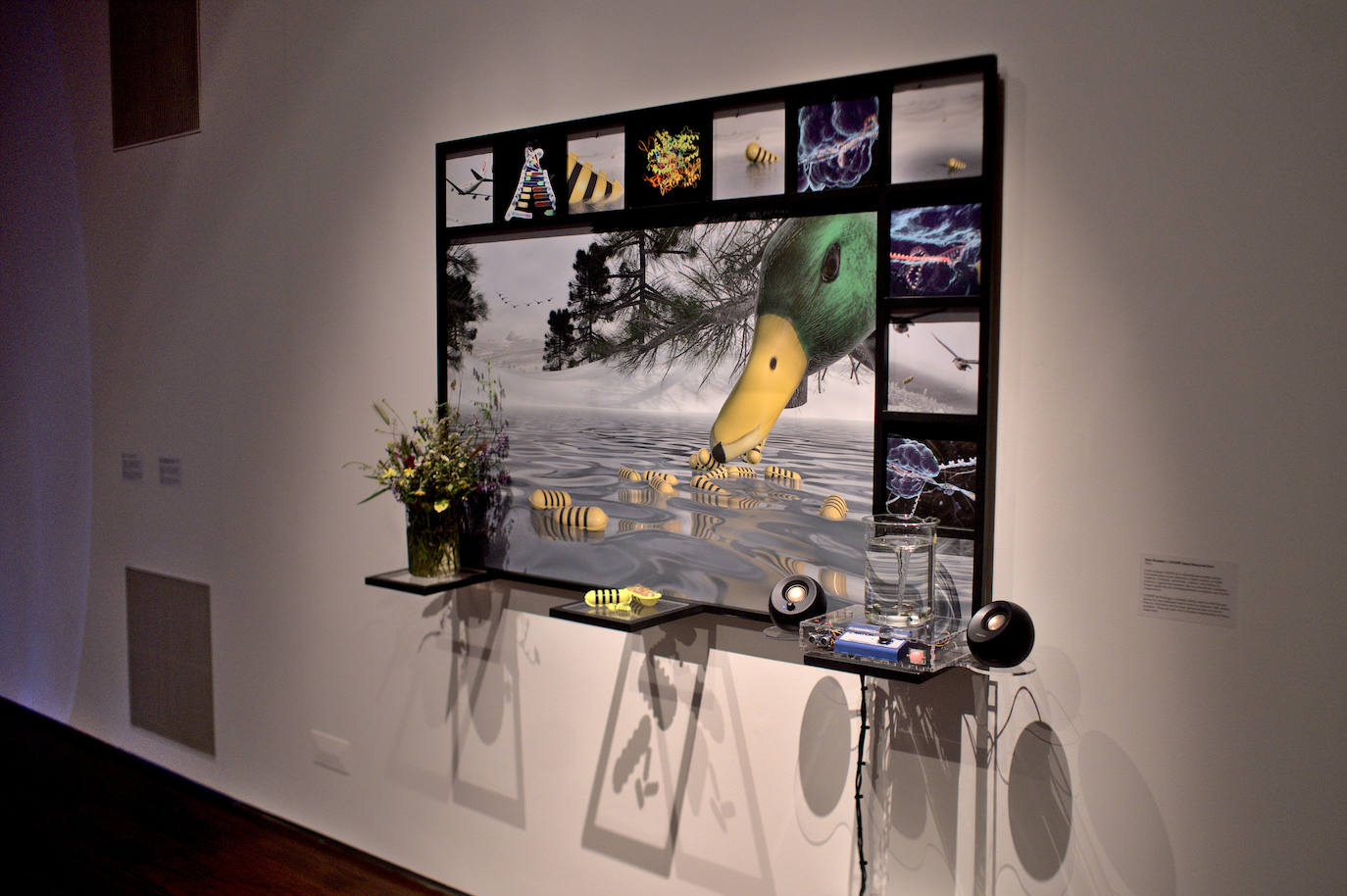 Llega al MEIAC de Badajoz el proyecto Alter(ação)