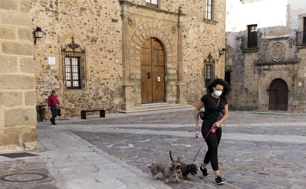 Extremadura tiene ya la mitad de perros que de personas