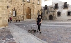 Extremadura tiene ya la mitad de perros que de personas