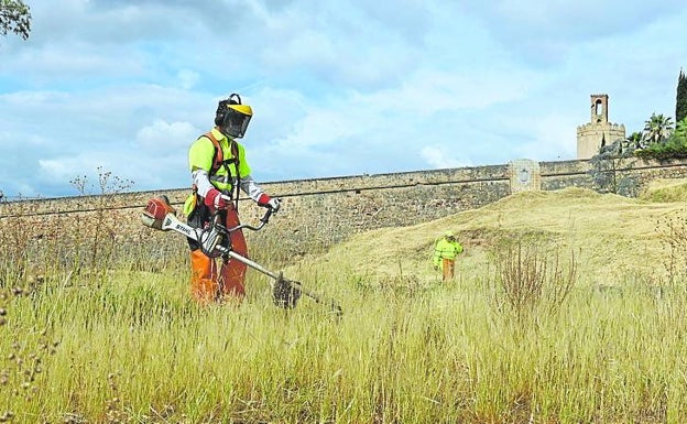 Comienza el desbroce de las laderas de la Alcazaba de Badajoz