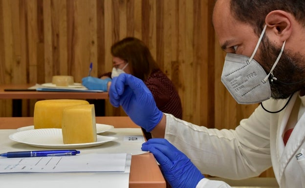 ¿Qué debe tener un queso para ser el mejor?