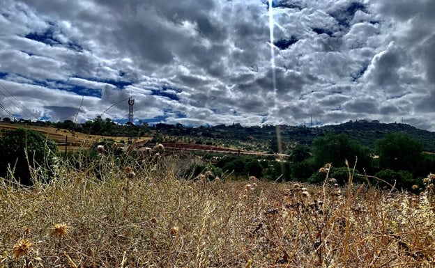 Miles de parcelas sin desbrozar en Cáceres retan a los bomberos en un mes crítico