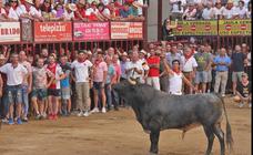Unos 250 guardias civiles velarán por la seguridad en las fiestas de San Juan de Coria