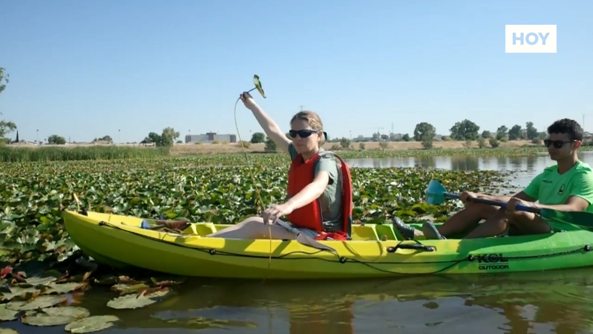 El nenúfar visto desde el río Guadiana