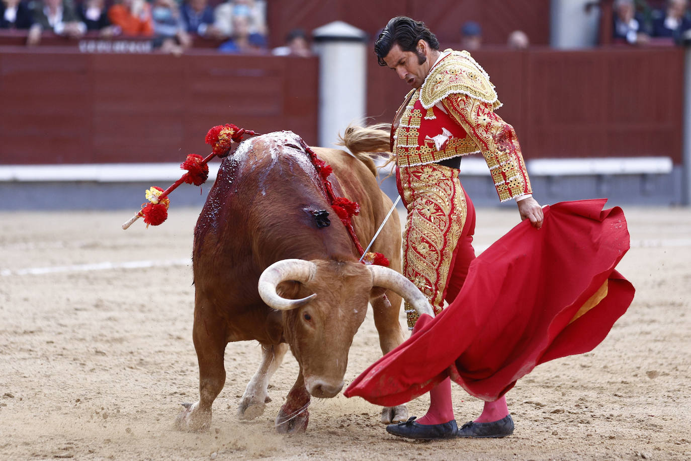 Morante de la Puebla toreará en Herrera del Duque el 15 de agosto