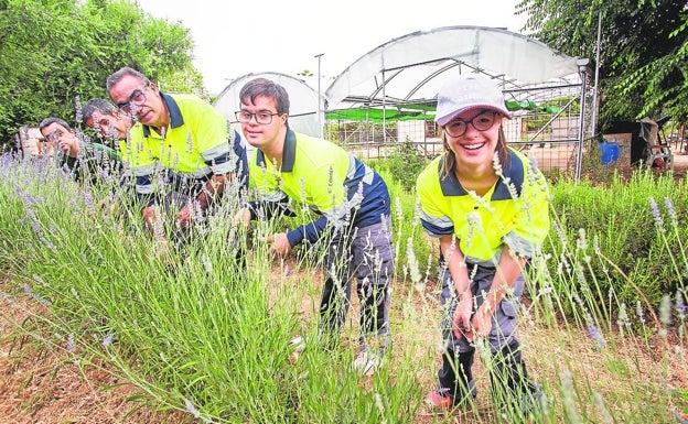 Aprendices de jardineros entre lavanda y tomillo en Cáceres