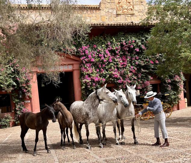 Una yeguada extremeña en la comida de Dior en Sevilla