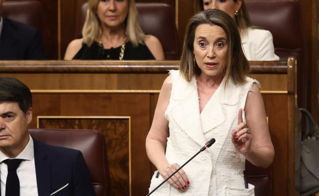 El PP deja en el aire su aval al plan del Gobierno, que actúa «tarde»