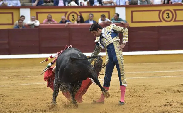 El ganado desluce la encerrona de Perera en Badajoz