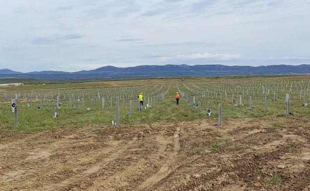La mayor fotovoltaica de Europa, en suelo extremeño, empieza a funcionar en julio
