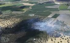 Los 18 incendios forestales de la última semana han quemado 43 hectáras